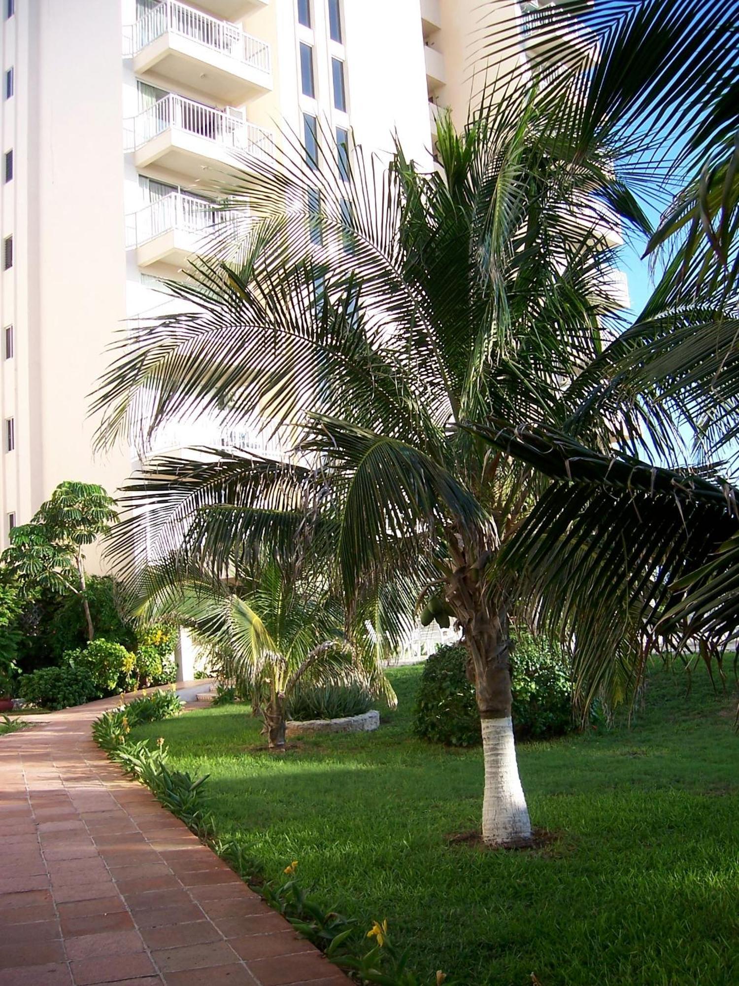 Salvia Cancun Aparts Kültér fotó